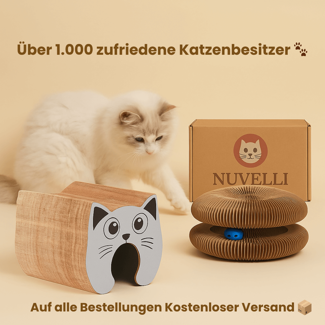 FlexiPlay™ – 2in1 Kratz- und Spielring